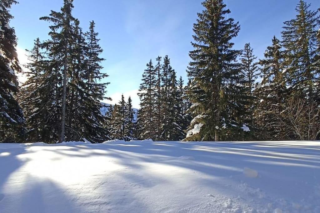 Bel Appart Pour 4/6 Pers Plein Sud Sans Vis A Vis Chamrousse Eksteriør bilde
