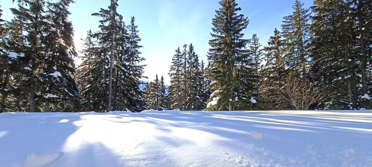 Bel Appart Pour 4/6 Pers Plein Sud Sans Vis A Vis Chamrousse Eksteriør bilde