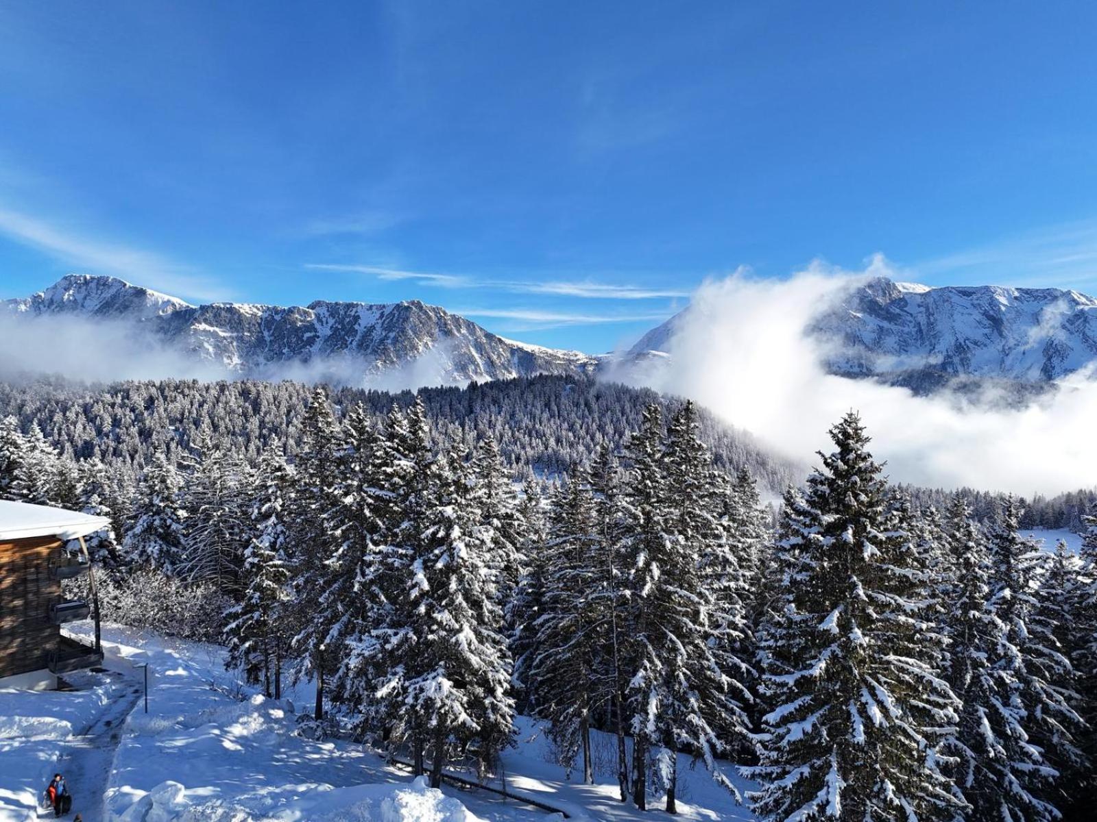 Bel Appart Pour 4/6 Pers Plein Sud Sans Vis A Vis Chamrousse Eksteriør bilde